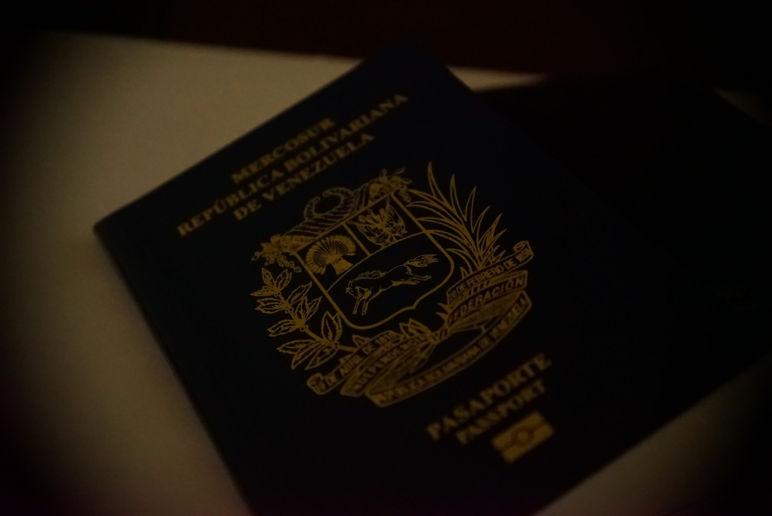 jose-g-ortega-castro-vv5-VuLdABA-unsplash