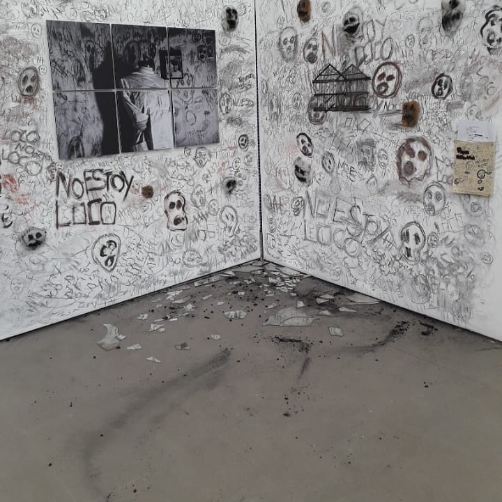 instalacion, psiquiatrico- 2019