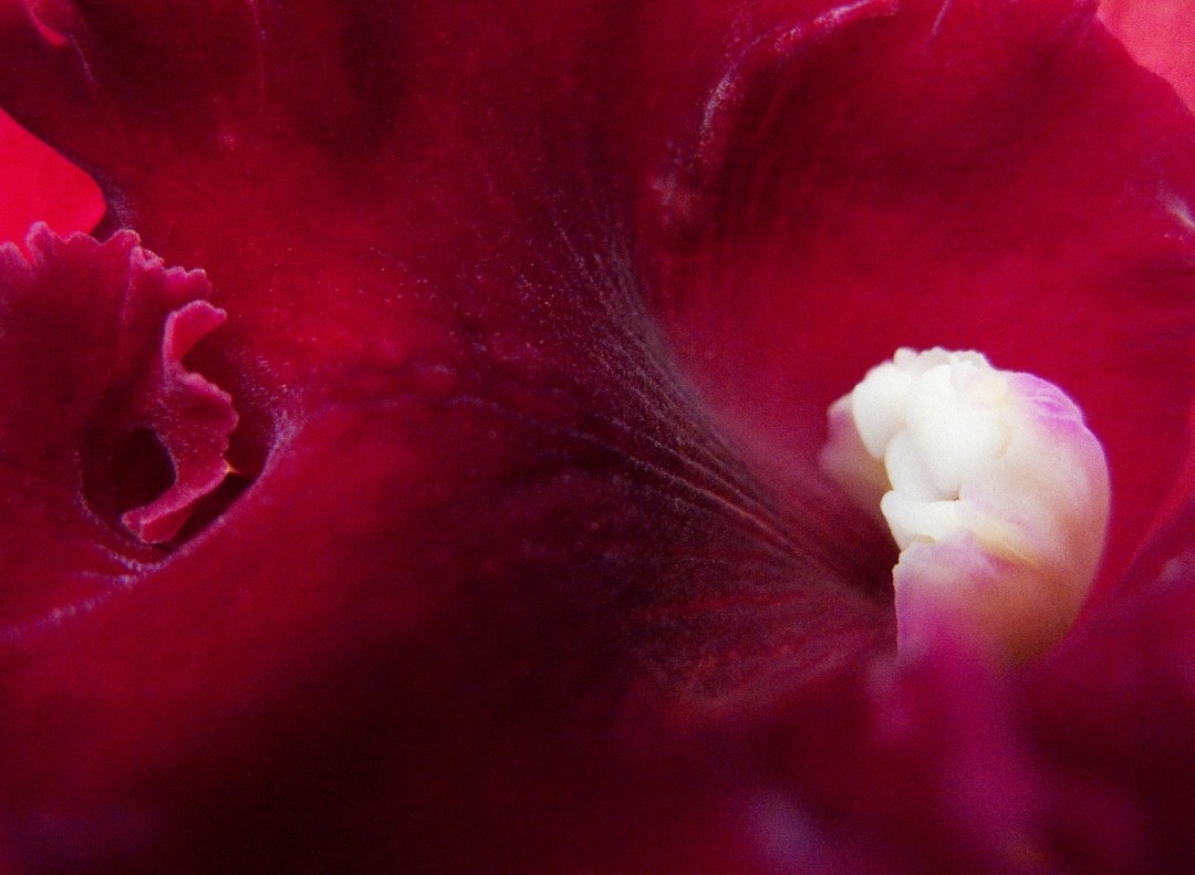 IMG-20210823-WA0039