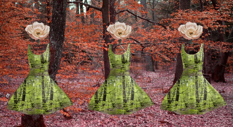 Fast Fashion Dalia Ferreira