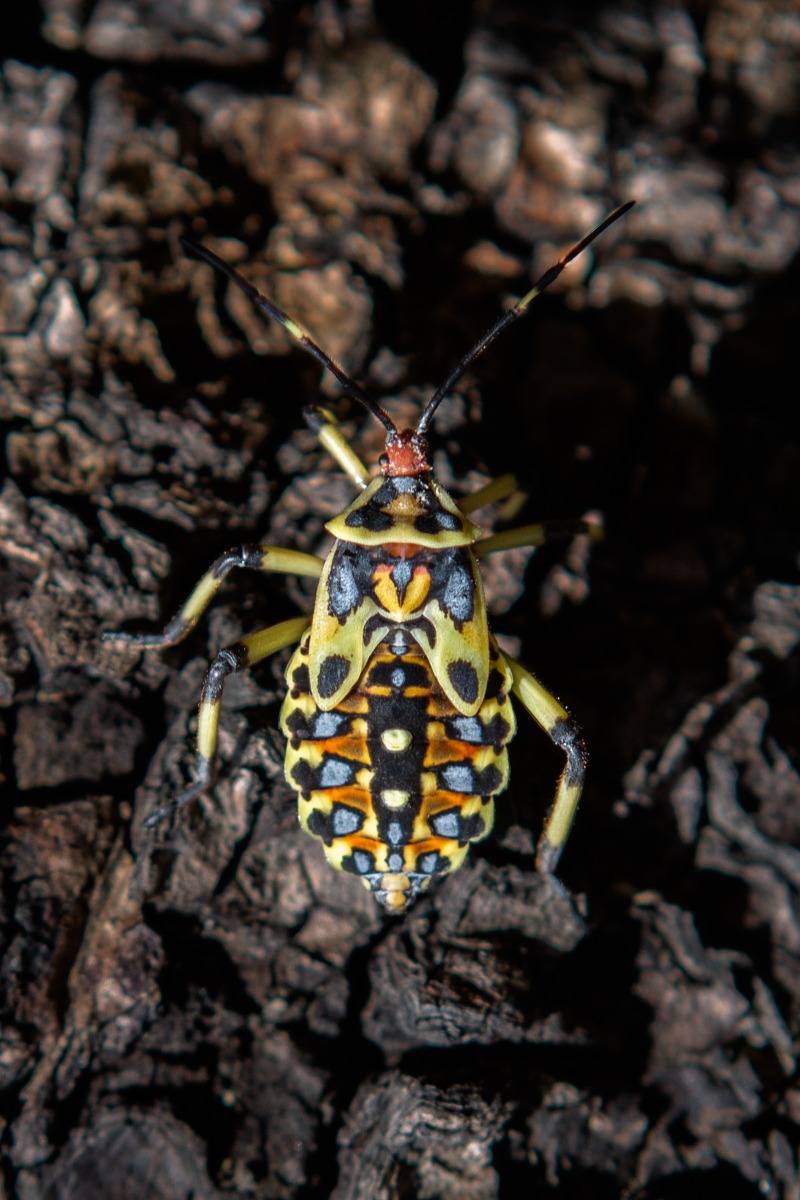 ©Pipe Yanguas Photography-007