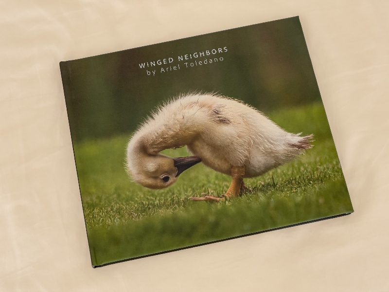 Cover Winged Neighbors