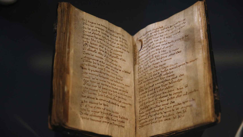 Mio Cid libro