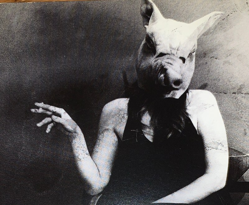 15 Mujer cabeza de cerdo