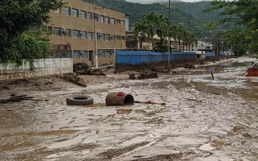 A la sombra de un Castaño