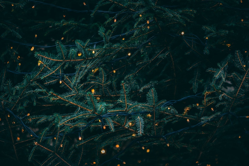 kieran-white-SBdmQcW8qag-unsplash