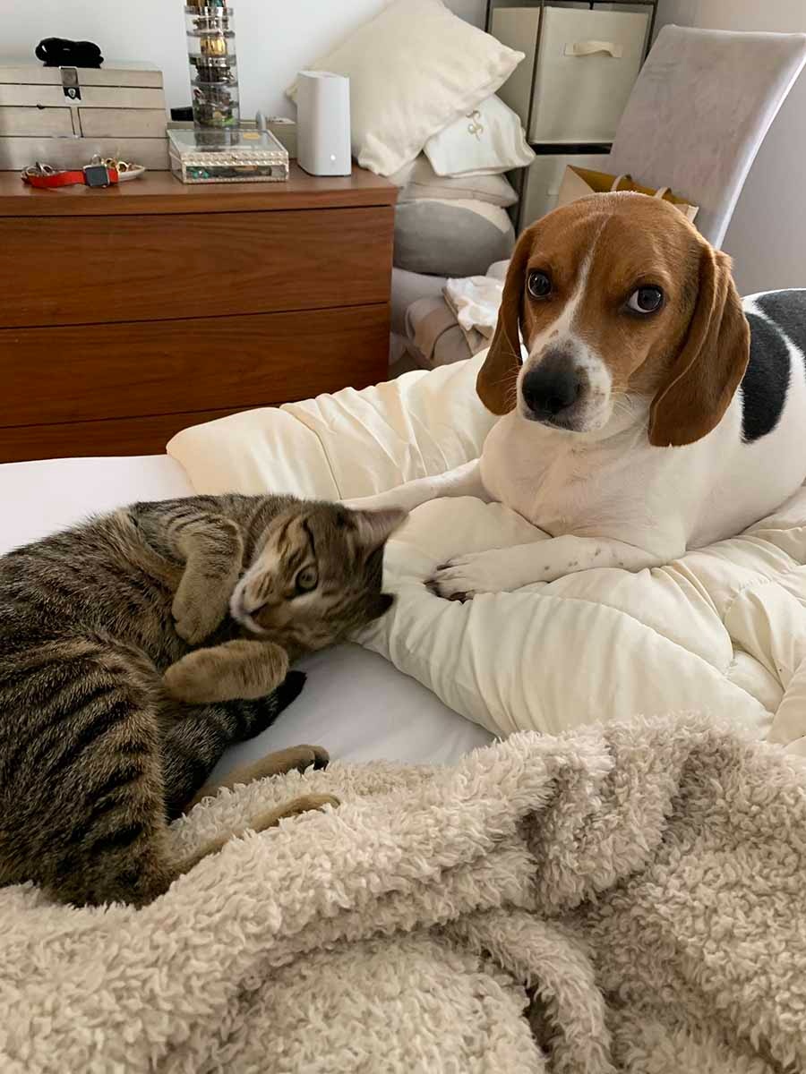 Juno y Charlie