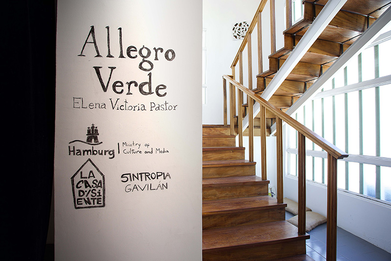 Allegro Verde 2 copia