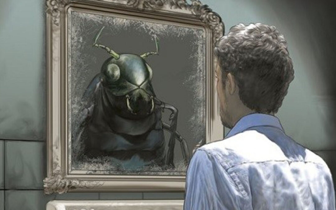 La danza de los insectos