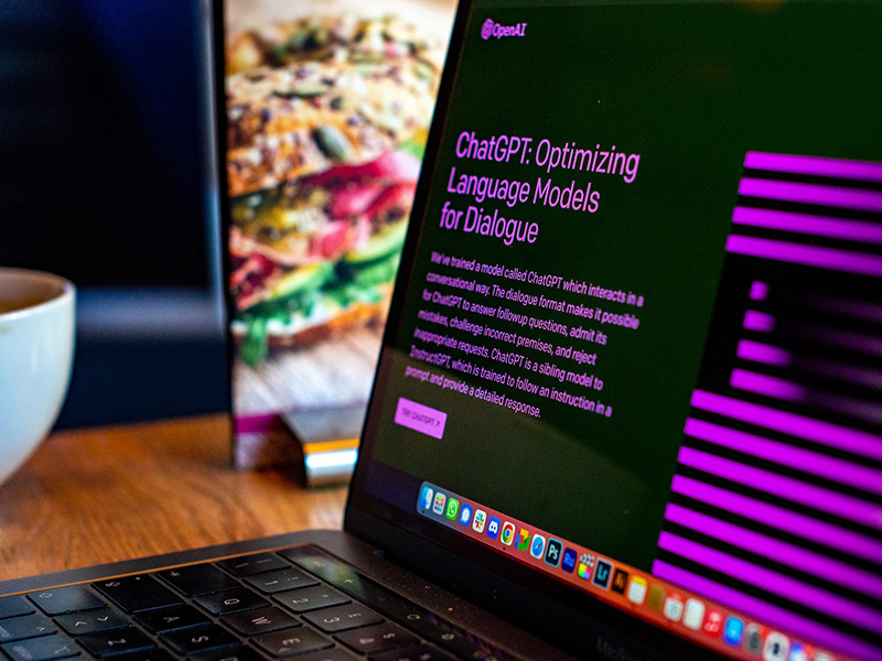 emiliano-vittoriosi-qGGNt_oqs5M-unsplash copia