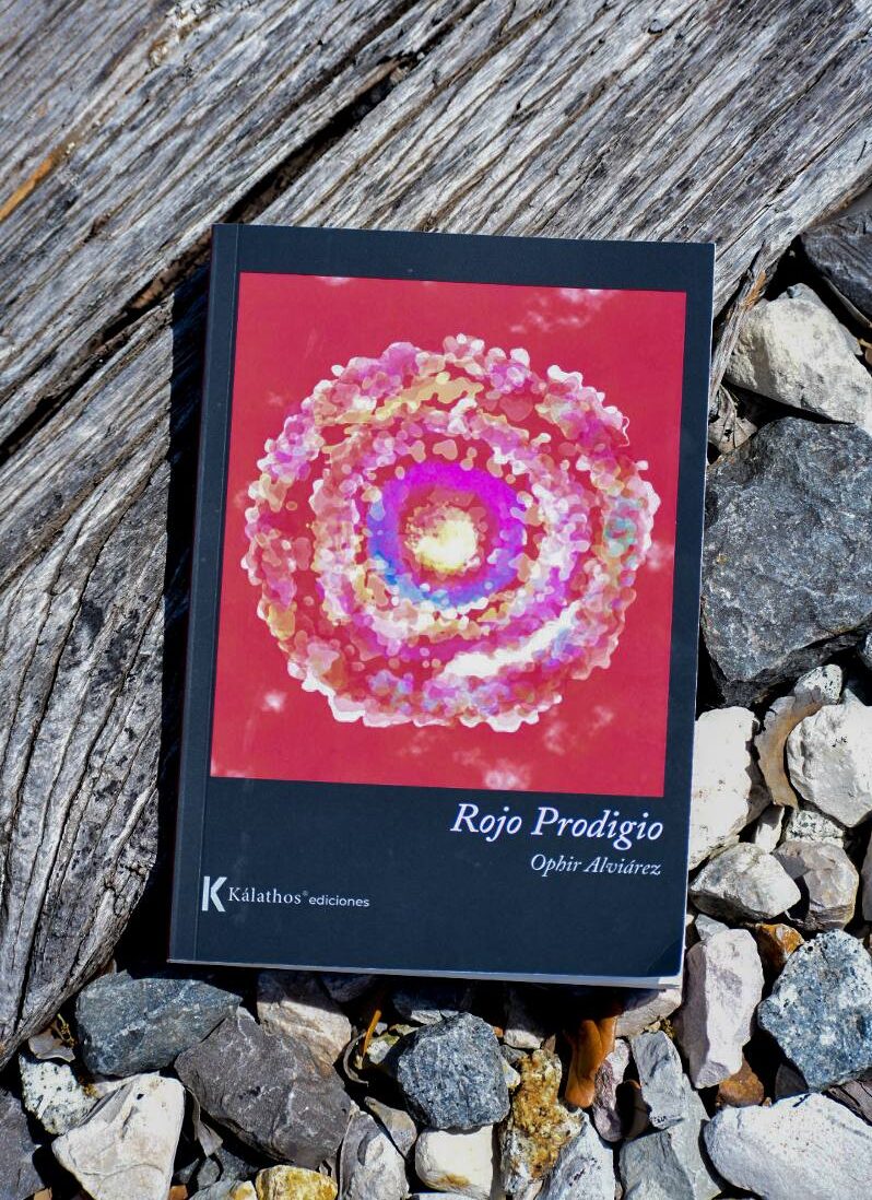 Libro Rojo prodigio