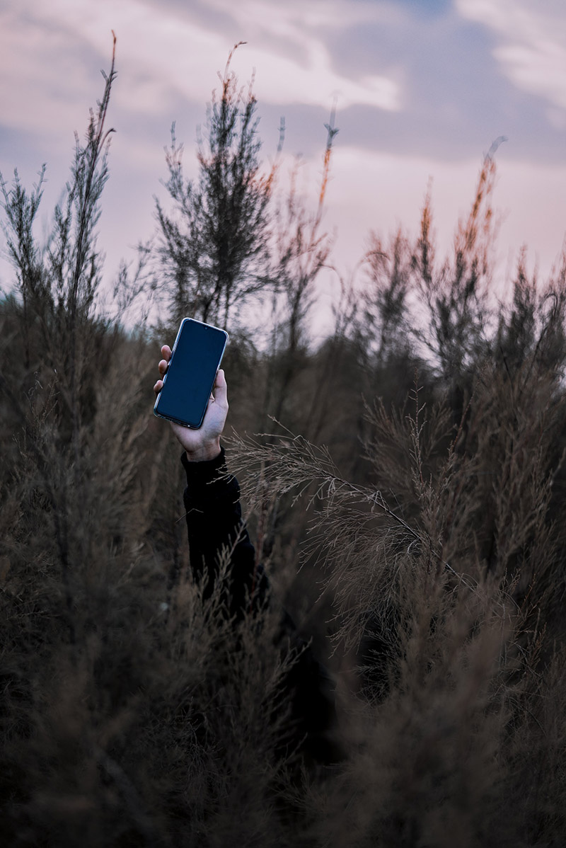 nijwam-swargiary-vAWEJmXUpvI-unsplash copia
